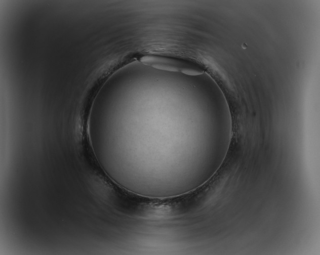X0000088580640200705251139