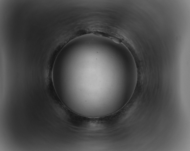 X0000088580641200705251139