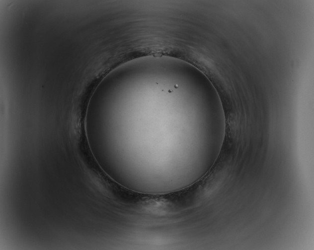 X0000088580642200705251139