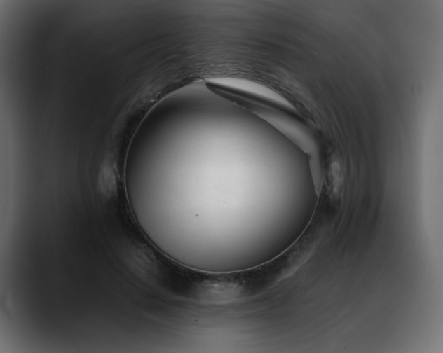 X0000088580644200705251139