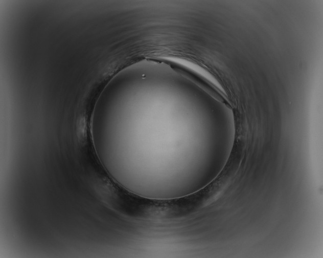 X0000088580646200705251139