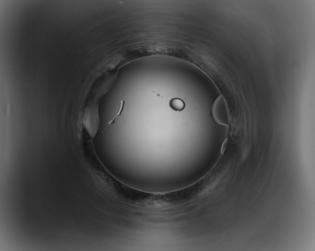 X0000088580648200705251139