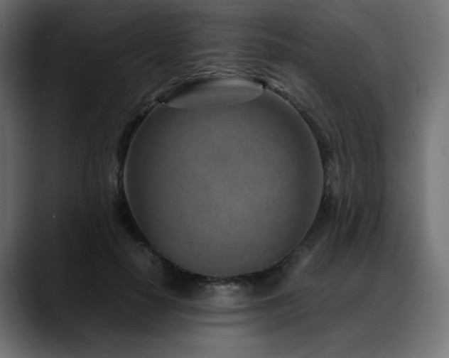 X0000088580650200705251139