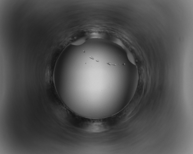 X0000088580651200705251139