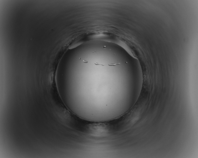 X0000088580652200705251139