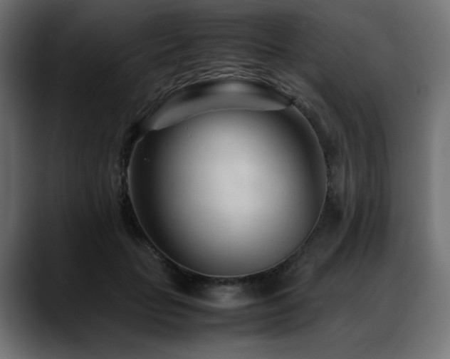 X0000088580653200705251139