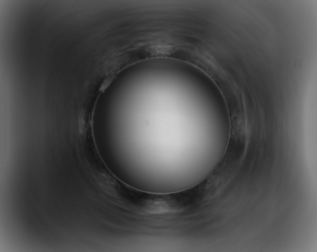 X0000088580655200705251139