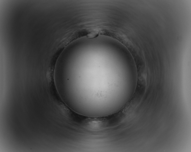 X0000088580658200705251139