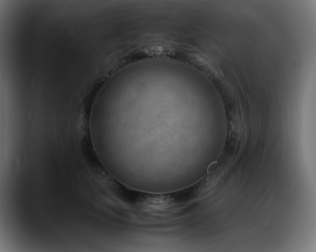 X0000088580659200705251139