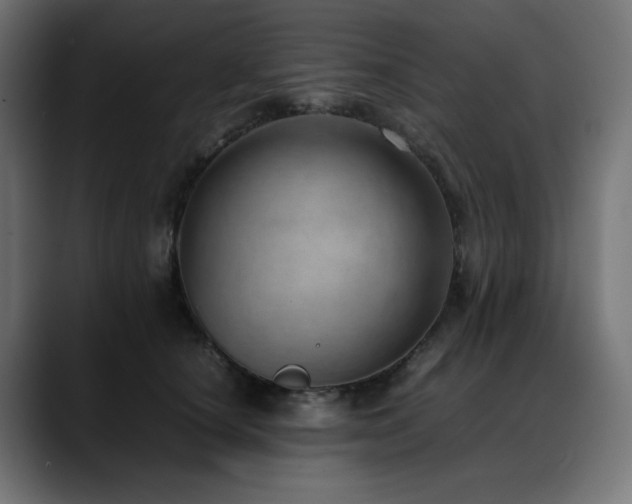 X0000088580660200705251139