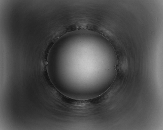 X0000088580661200705251139
