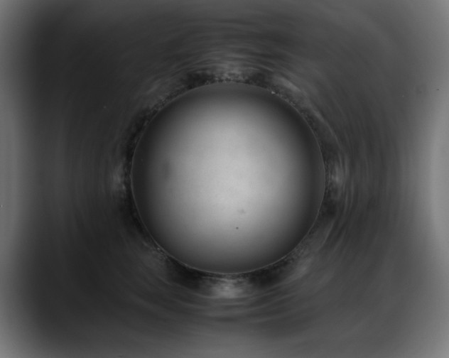 X0000088580663200705251139
