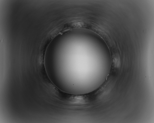 X0000088580665200705251139