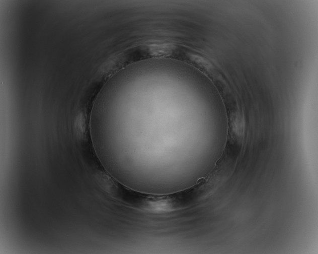 X0000088580667200705251139