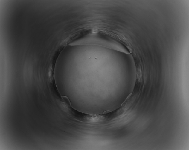 X0000088580670200705251139