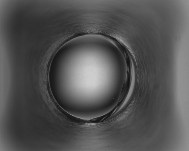 X0000088580673200705251138