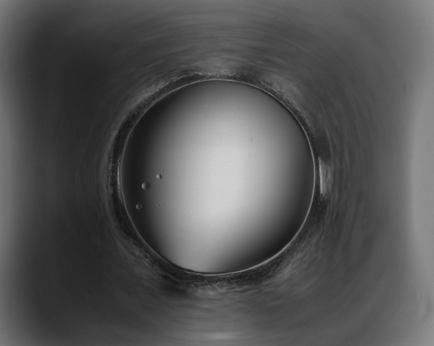X0000088580675200705251138
