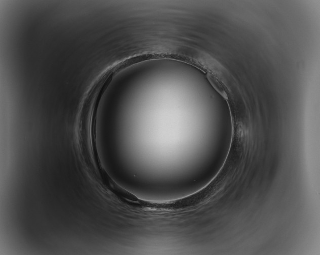 X0000088580676200705251138