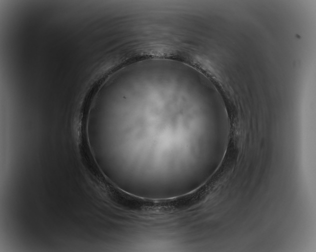 X0000088580679200705251138
