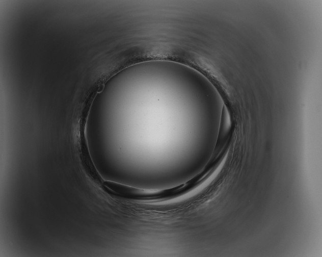 X0000088580681200705251138
