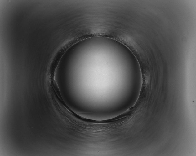 X0000088580684200705251138