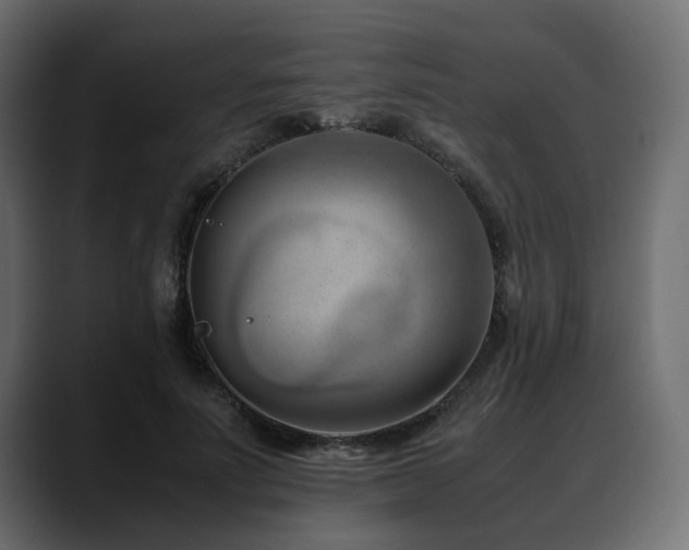 X0000088580691200705251138