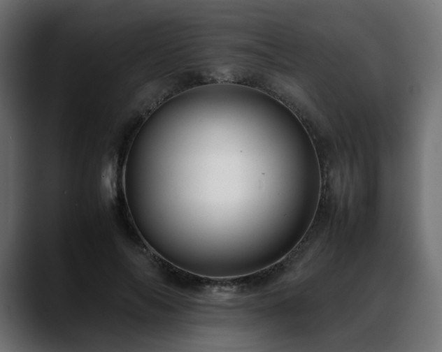X0000088580694200705251138