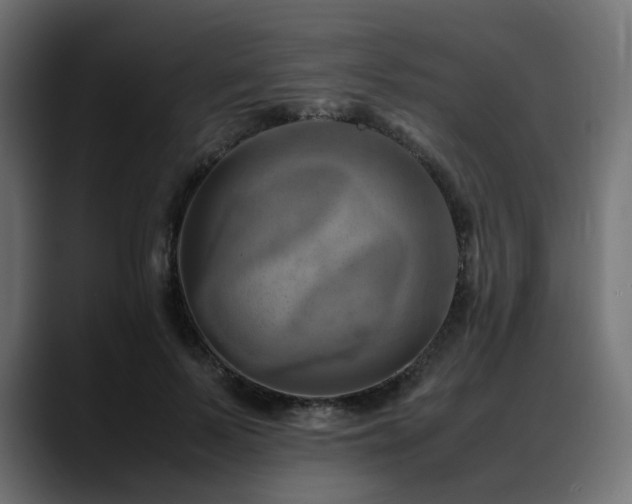 X0000088580695200705251138