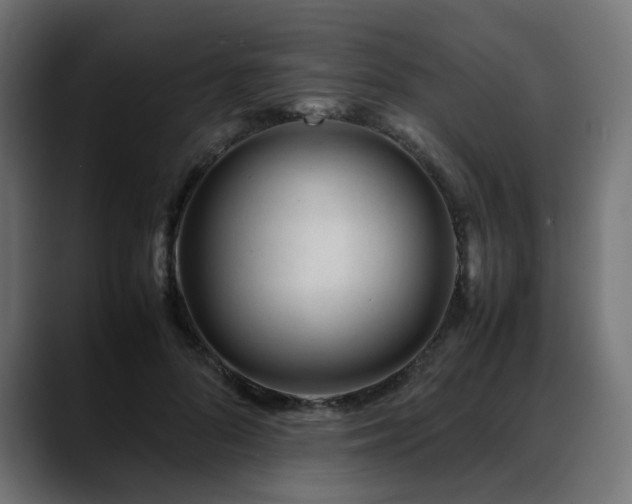 X0000088580696200705251138