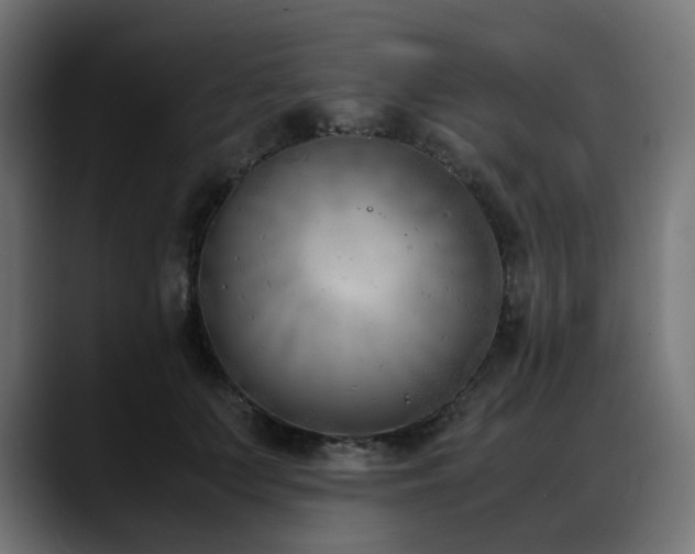 X0000088580703200705251138