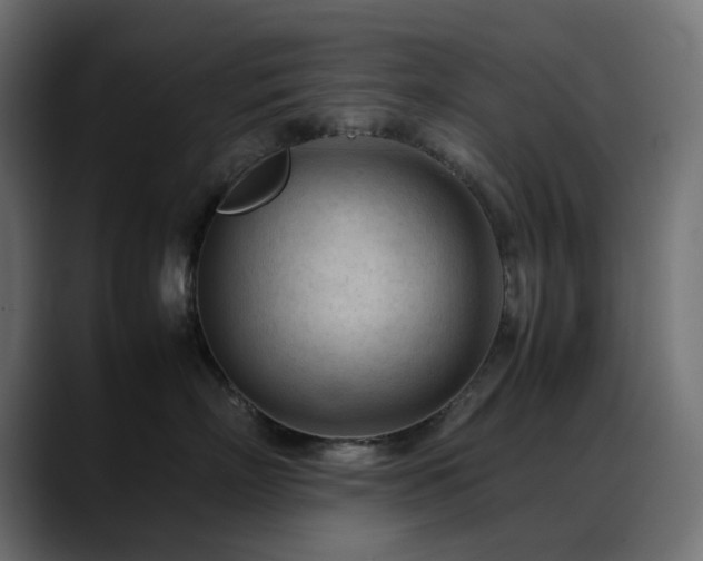 X0000088580718200705251138