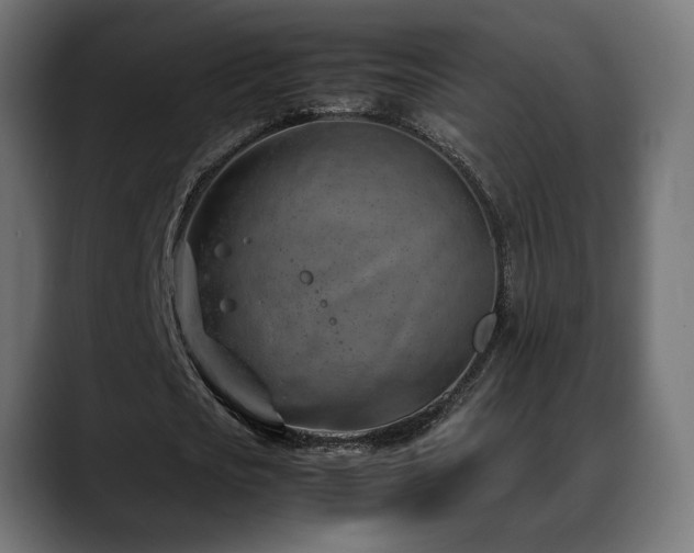 X0000088580721200705251137