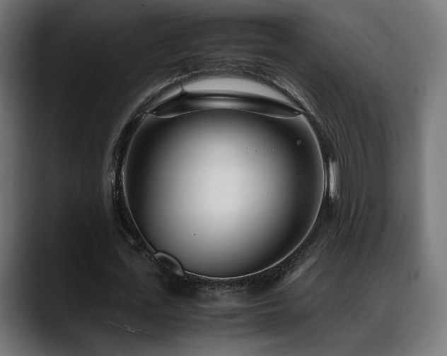 X0000088580723200705251137
