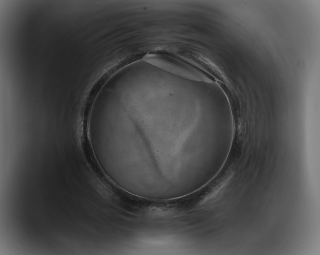 X0000088580725200705251137