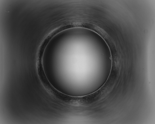 X0000088580728200705251137