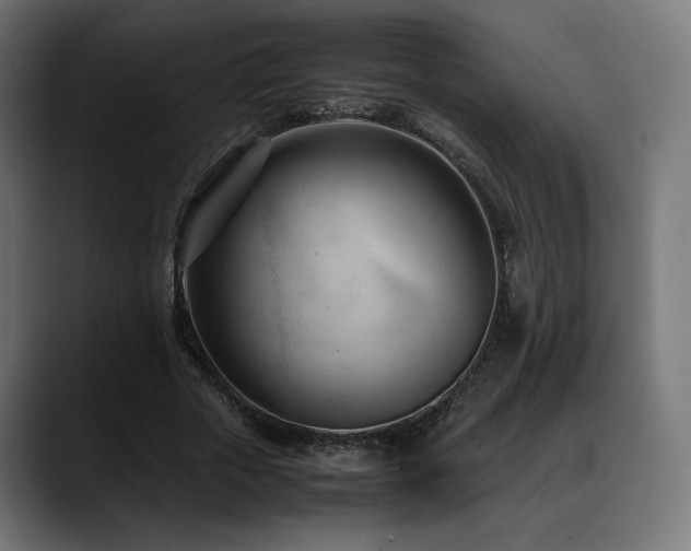 X0000088580729200705251137