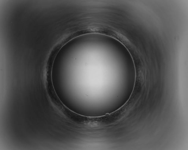 X0000088580730200705251137