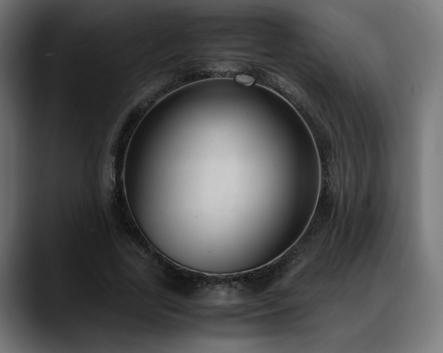 X0000088580731200705251137