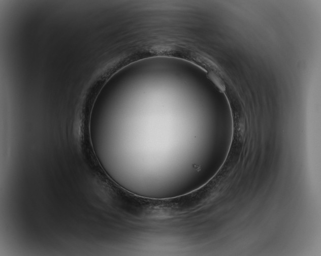 X0000088580732200705251137