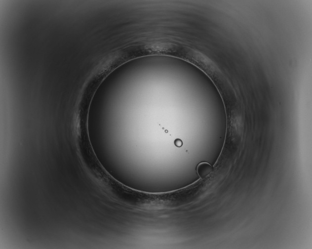 X0000088580734200705251137
