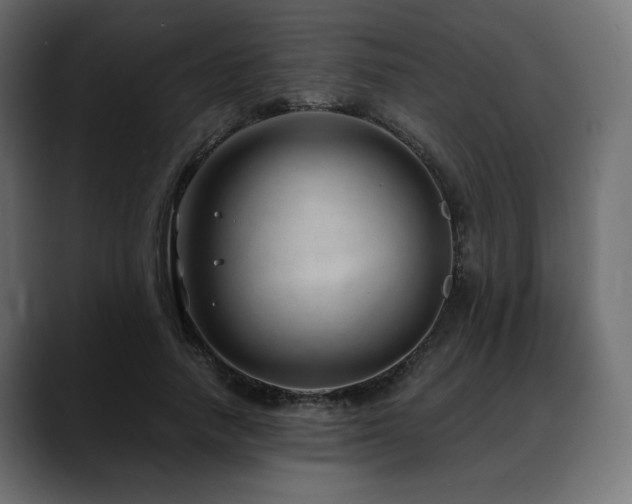 X0000088580738200705251137