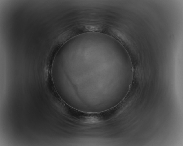 X0000088580741200705251137