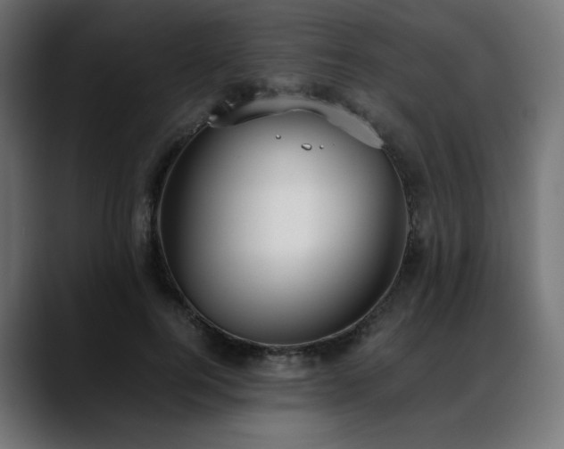 X0000088580744200705251137