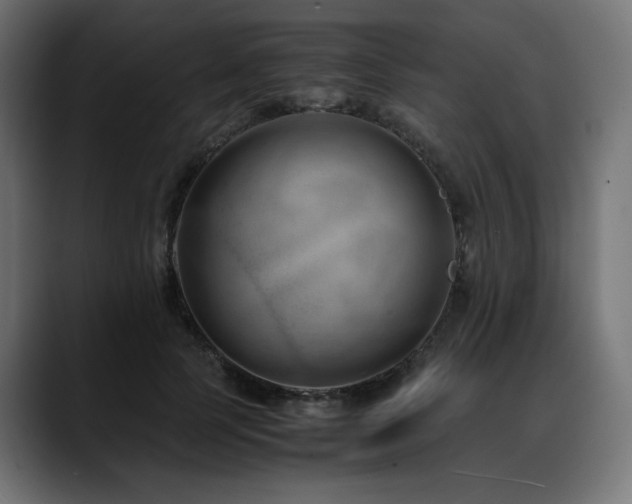 X0000088580745200705251137