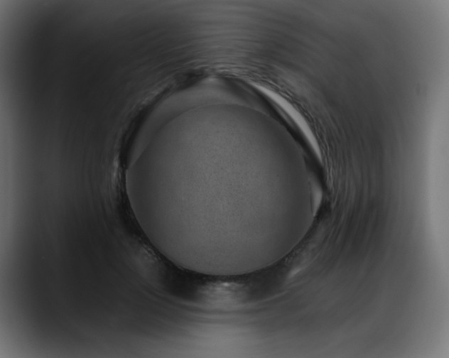 X0000088580748200705251137