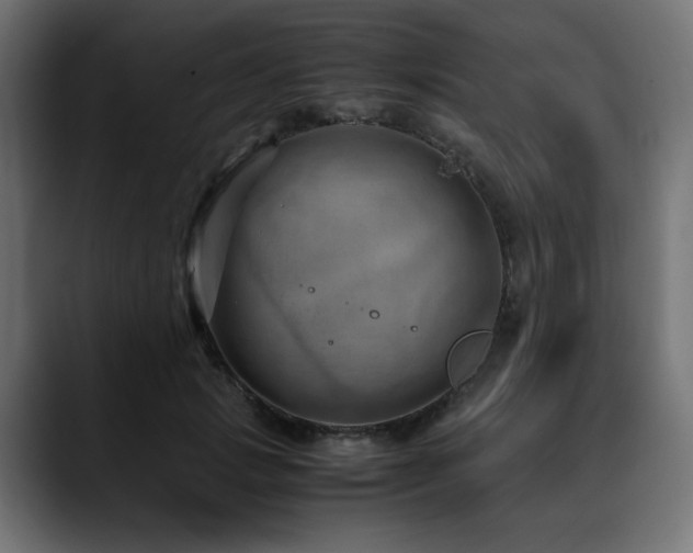 X0000088580749200705251137