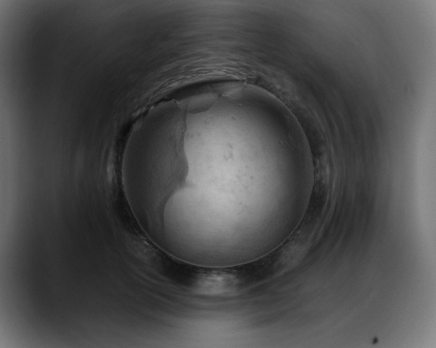 X0000088580754200705251137