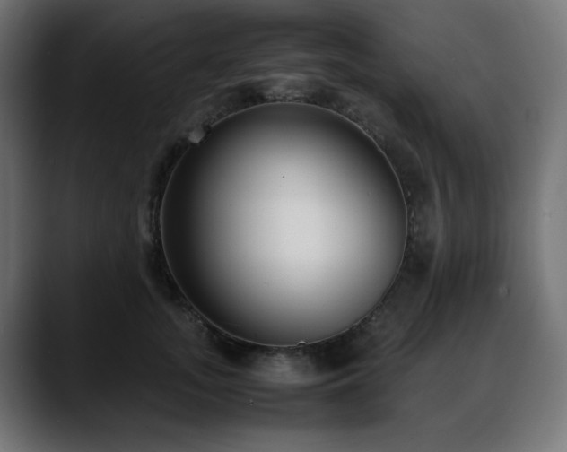 X0000088580755200705251138