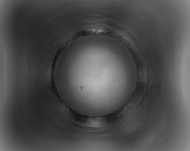 X0000088580757200705251138