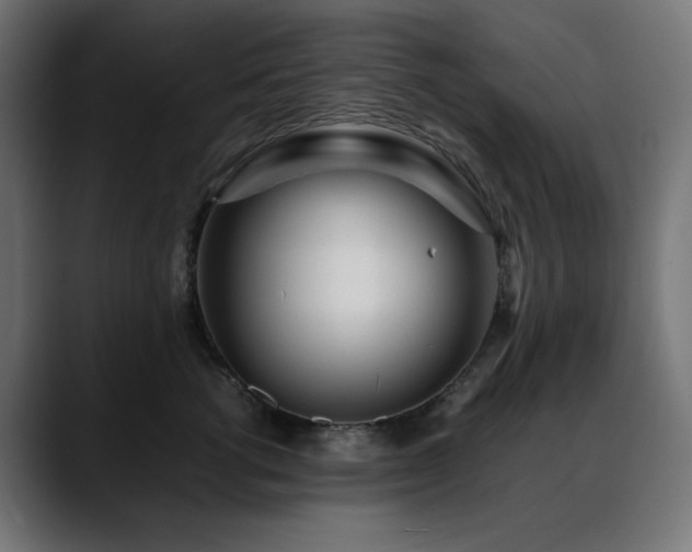 X0000088580762200705251138